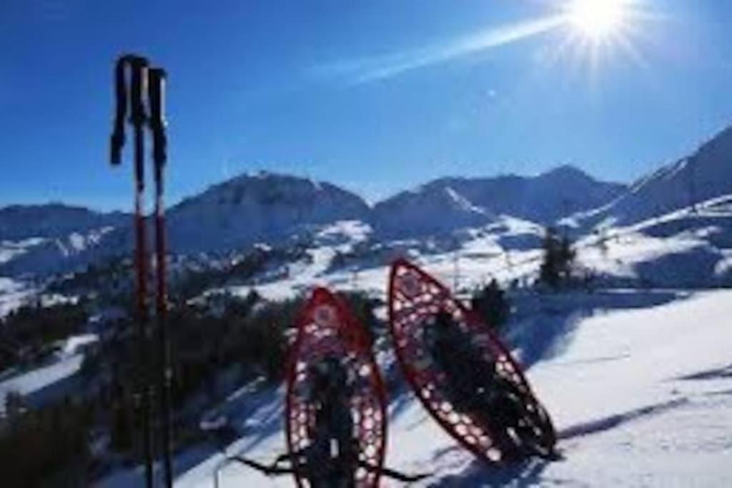 Appartement Belle Plagne Et Parking La Plagne Luaran gambar